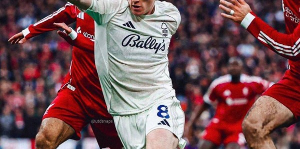 曼联已决定必买安德森，夏窗需8000万！戈麦斯同意冬季加盟却受阻