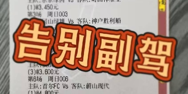 德甲：云达不来梅VS霍芬海姆，专家最新推荐比分预测