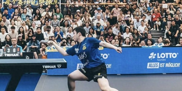 樊振东横扫豪格，赛后举动太暖心！没想到小胖又创造了欧冠新纪录